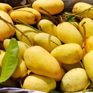 সুইট কাঠি মন 16 কেজি 2000 টাকা