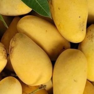 সুইট কাঠি মন 20 কেজি 2400 টাকা